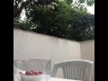 Fellation , whisky et cigare ...la vraie vie