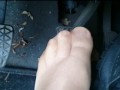 Füße in FSH und Sportschuhen ** Auto Spaß **