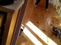 Ass penalisement fisting on kitchen table and a soaking wet pussy part 1