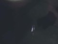 Slow mo Cum Shot in Quarantine