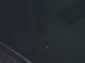 Slow mo Cum Shot in Quarantine
