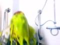 OMG! My shower broke and squirted GUNGE all over me?!