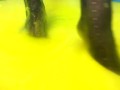 OMG! My shower broke and squirted GUNGE all over me?!