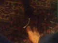 Feet fe tish