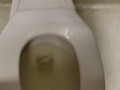 POV Girl w/ hairy Pussy Makes A Mess At The Public Toilet