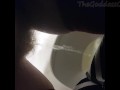 Hairy Woman Pissing in public bathroom - TheGoddessOfLust
