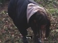 Russian girl made a blowjob in German park (outdoor porn) nov/2019