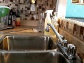 Pissing In My Kitchen Sink Makes Me Happy