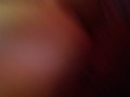 Play with my ass...plug it and pour coconut oil in my ass splashing yummy a