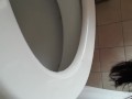 Girl pissing selfie and licking the toilet clean