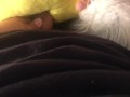 Rena Blowjob