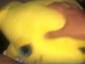 Rena’s quick morning succ