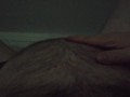 my belly is moving during contractions