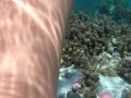 Snorkeling trips with hot tourists