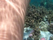 Snorkeling trips with hot tourists