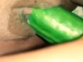 fucking my pussy with a huge cucumber