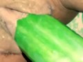 fucking my pussy with a huge cucumber
