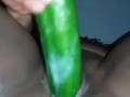 fucking my pussy with a huge cucumber