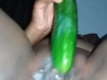 fucking my pussy with a huge cucumber