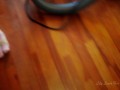 Japanese Girl Plays with Feet in Pink Tabi Socks