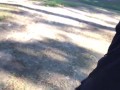 Public dick flashing at golf course 