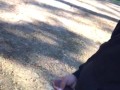 Public dick flashing at golf course 