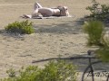 voyeur hunting. I spied a tanning and masturbating blonde