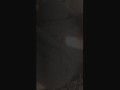Sexy Curves Teaser