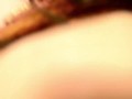 Milf in fishnet stockings takes my dick