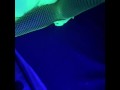 BlackLight Swirl.. (HUGE CUMSHOT)