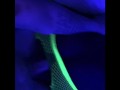 BlackLight Swirl.. (HUGE CUMSHOT)