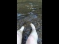 Squishing Mud Between my Toes in a Mountain Stream Bed