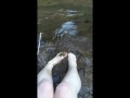 Squishing Mud Between my Toes in a Mountain Stream Bed
