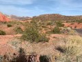 Hot Blonde and Hot Guy fuck in public after motorcycle ride