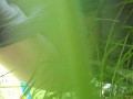 Quick Piss In The Tall Grass