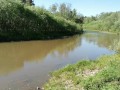 Трахнул незнакомку в Лесу ))) Она Ждала Когда ее трахнут )))