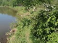 Трахнул незнакомку в Лесу ))) Она Ждала Когда ее трахнут )))