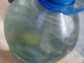 Extrem painful tits and nipples tortures