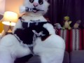 Lofi Beats to Strip and Grind Too Nori Cat Fursuit Striptease Teaser