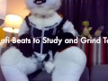 Lofi Beats to Strip and Grind Too Nori Cat Fursuit Striptease Teaser