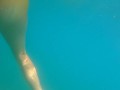 Underwater PUSSY PLAY at Public Beach # FUN from Risky Public Exhibitionism