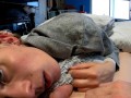 POV Incredible Blowjob - Teen Slut craves Cock 