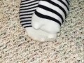 Cute Teen Girl Socks
