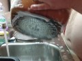 A man doing the dishes!!!   PT. 1
