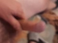 31684682293