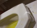 Made A Huge Mess With My Golden Piss In the Public Restroom
