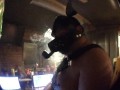 pipe pupper clip