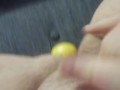 Stuffing my pussy with a lemon