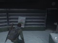 lesbian fights coronavirus 3