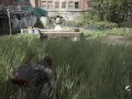 lesbian fights coronavirus 6